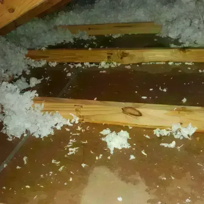 Attic Water Damage in Lancaster, TX