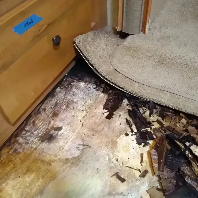 Wood Floor Water Damage in Lancaster, TX